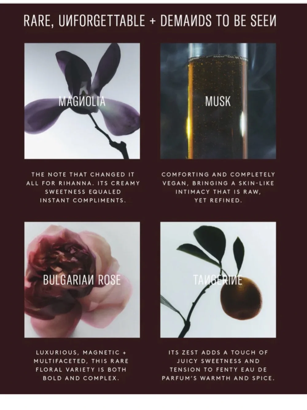 Fenty Beauty stylish amber